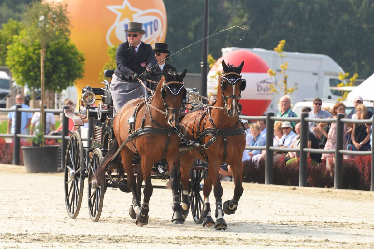 Mistrz w powożeniu (FILM)