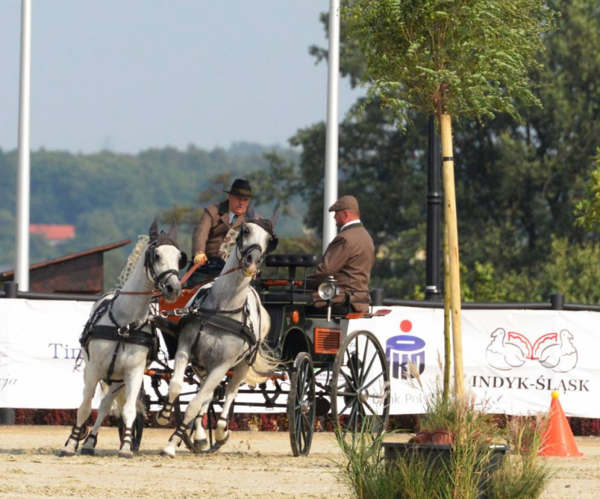 Mistrz w powożeniu (FILM)