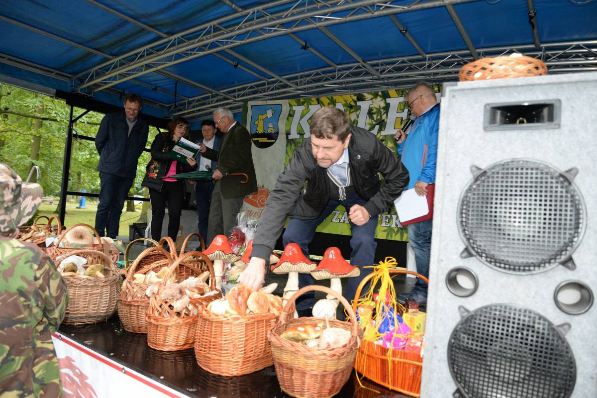 Grzybobranie na bogato (FILM)