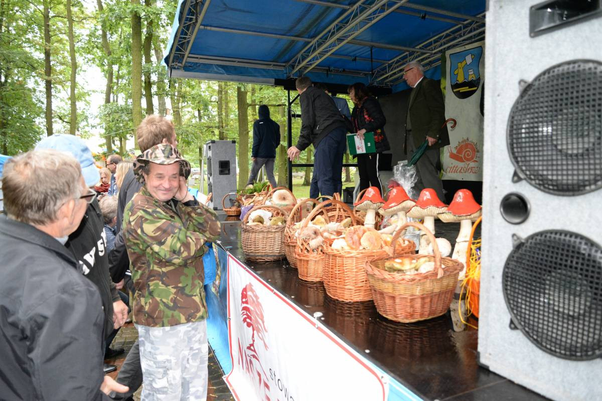 Grzybobranie na bogato (FILM)