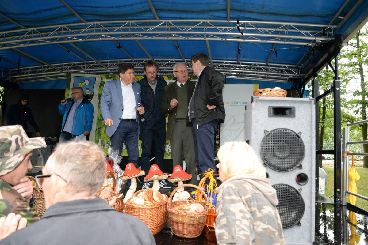 Grzybobranie na bogato (FILM)