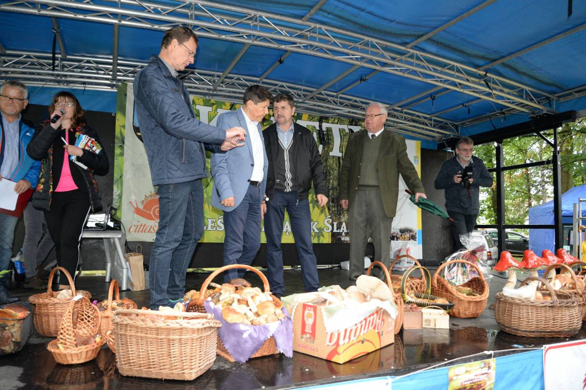 Grzybobranie na bogato (FILM)