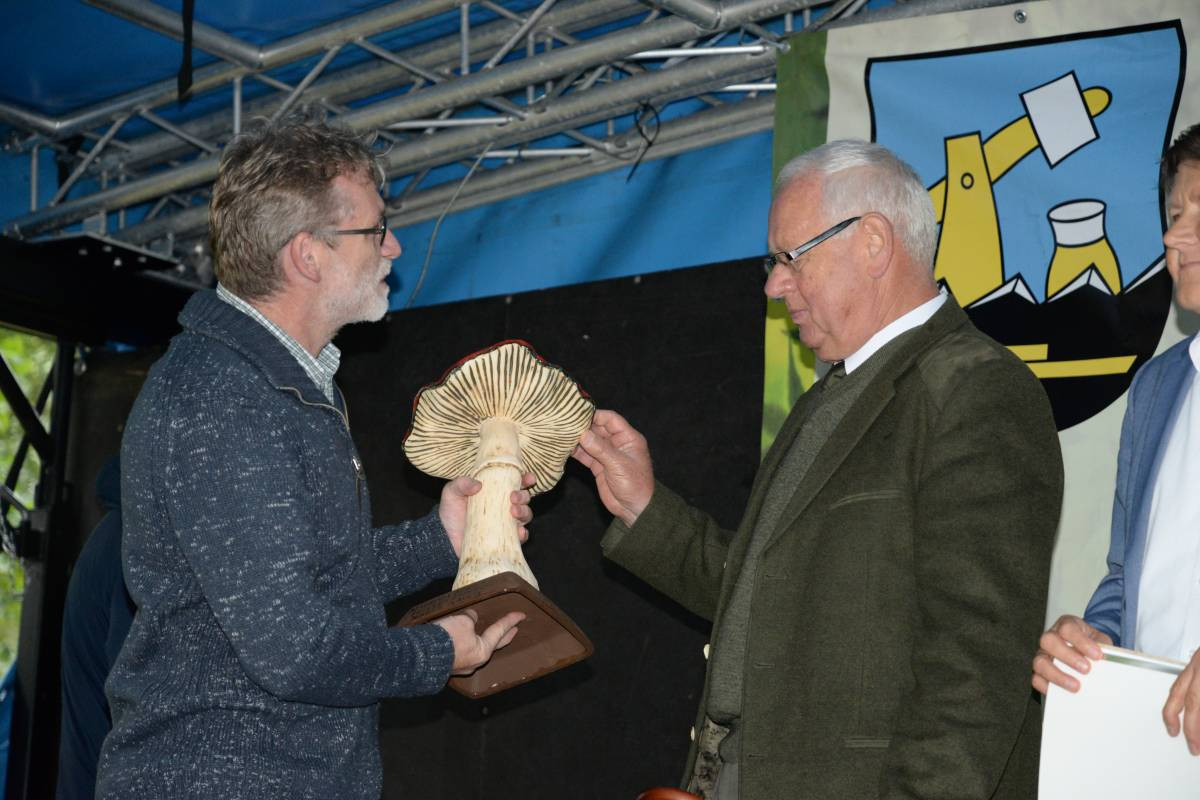 Grzybobranie na bogato (FILM)