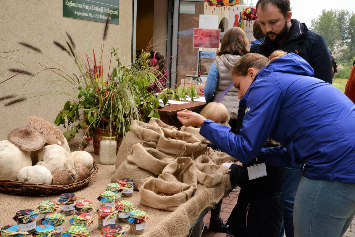 Dożynki pod zachmurzonym niebem