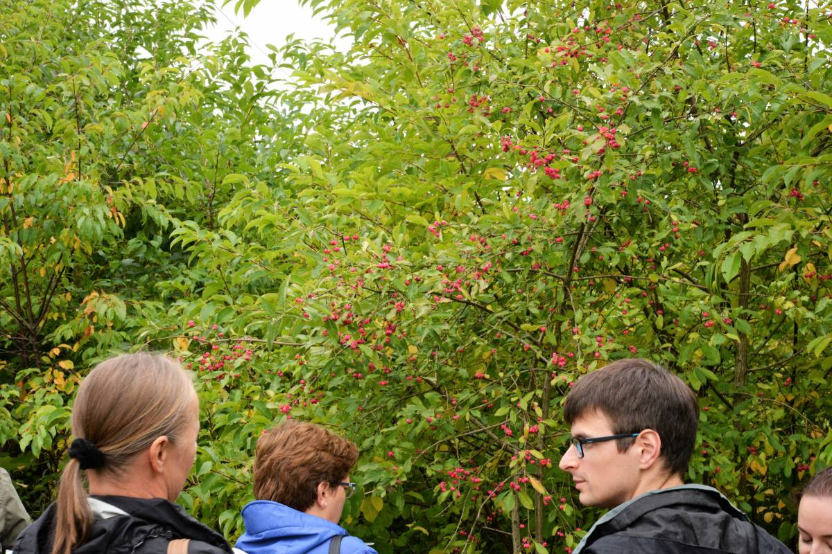 Dożynki pod zachmurzonym niebem