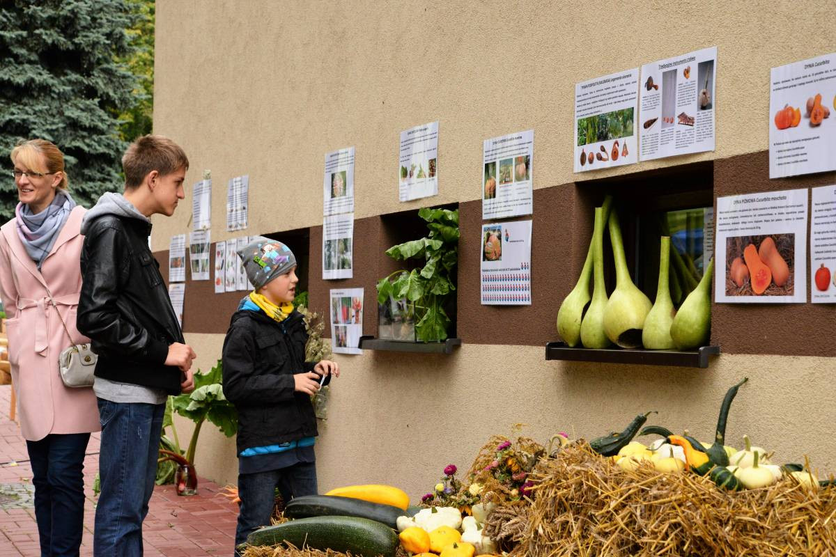 Dożynki pod zachmurzonym niebem
