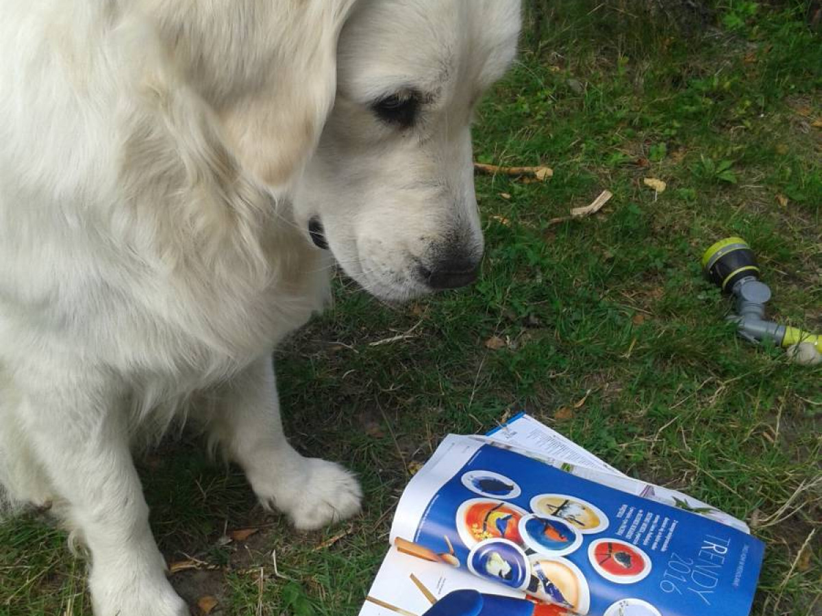 Plebiscyt na fotografię wakacji