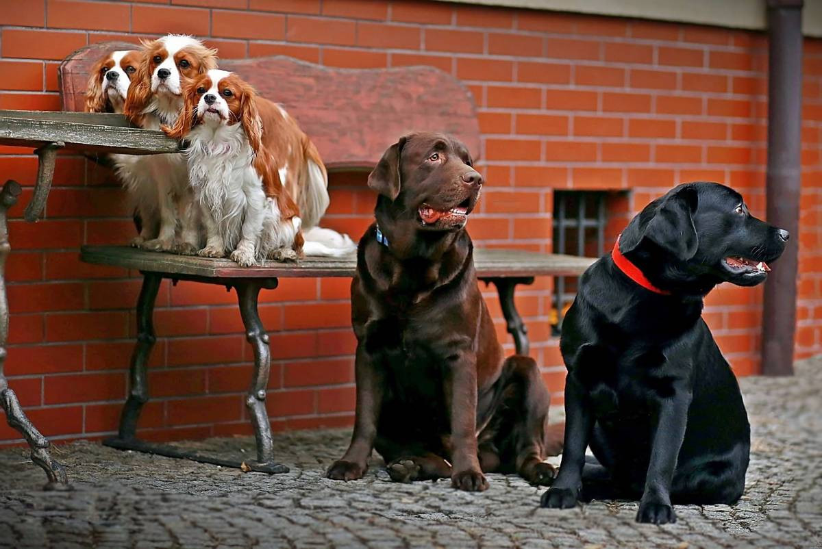 Plebiscyt na fotografię wakacji