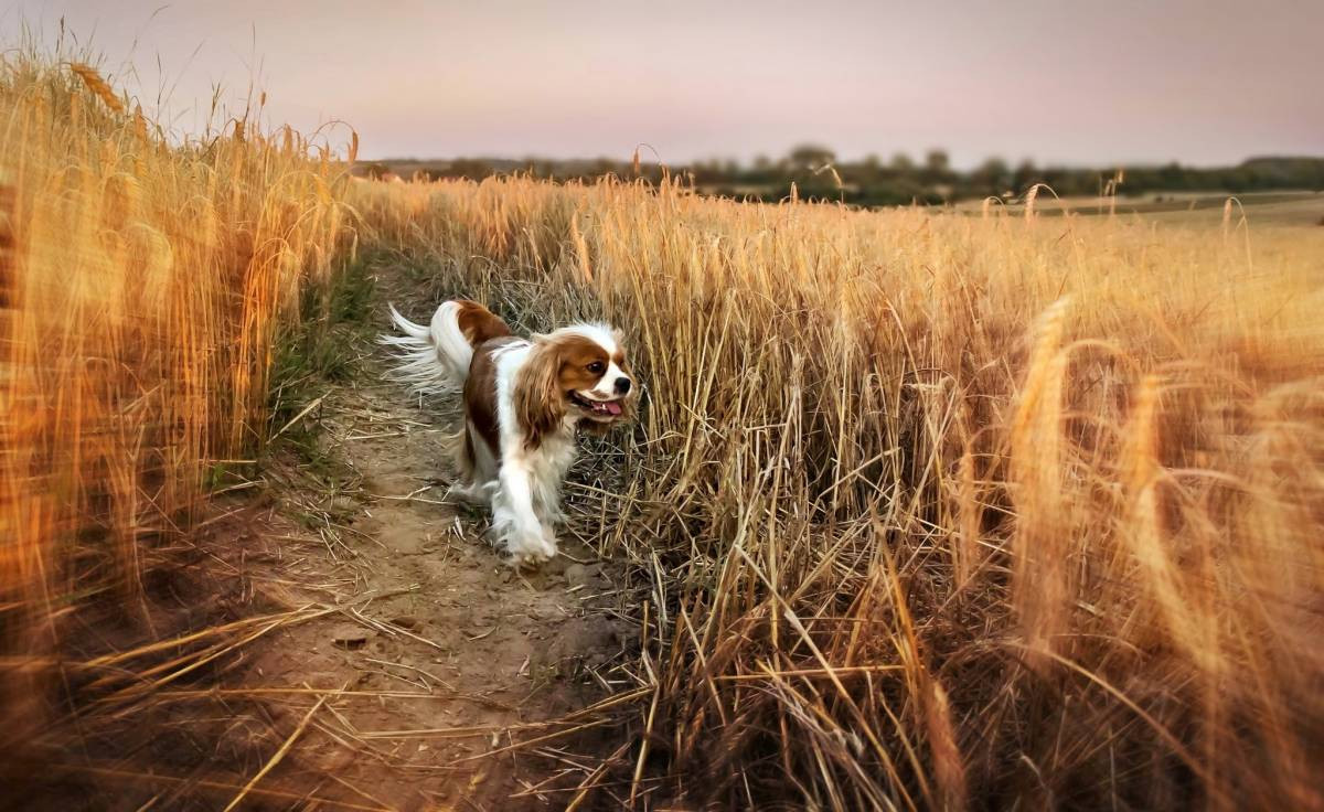 Plebiscyt na fotografię wakacji
