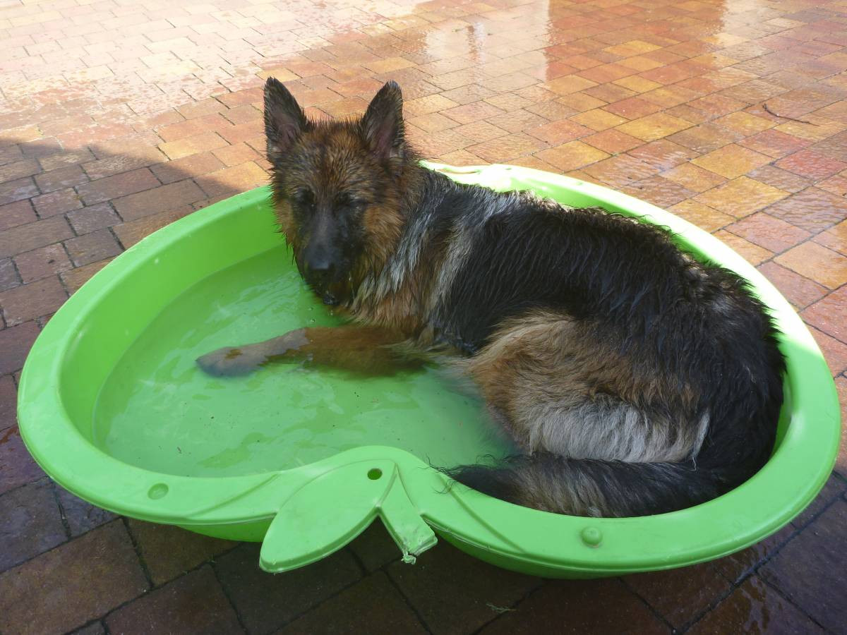 Plebiscyt na fotografię wakacji