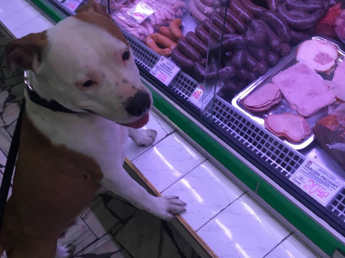 Plebiscyt na fotografię wakacji