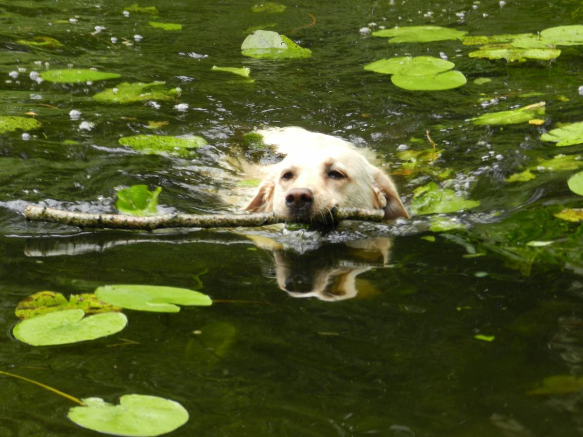 Plebiscyt na fotografię wakacji