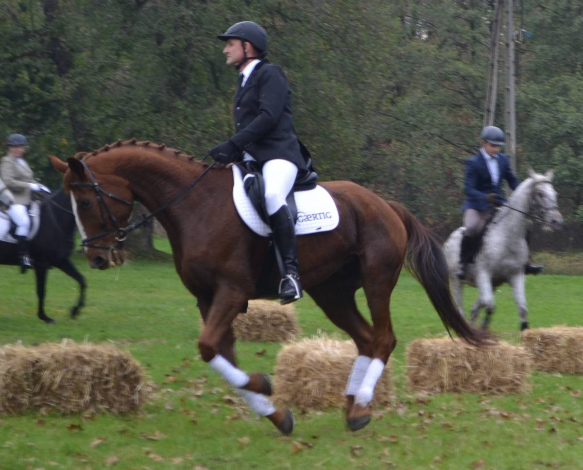 Jeźdźcy, konie, lis i psy - hubertus w świerklanieckim parku