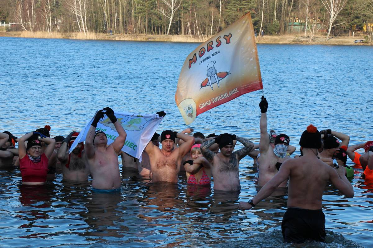 Finał WOŚP: morsy, tort za 400 zł, rekordy