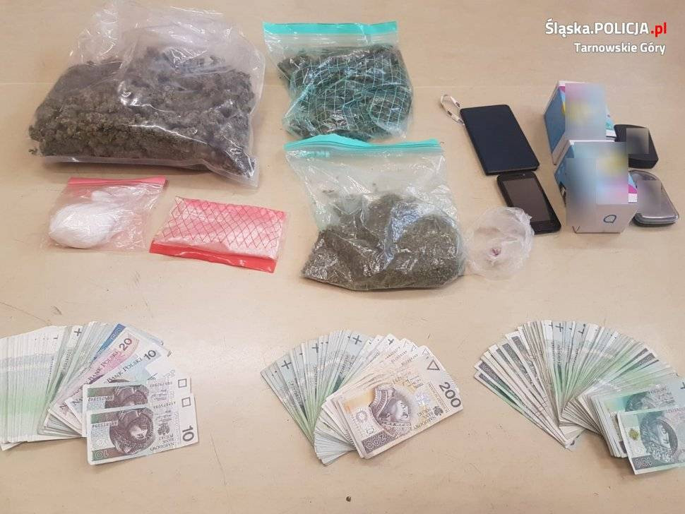 Domowa plantacja konopi. Dwaj mężczyźni w areszcie