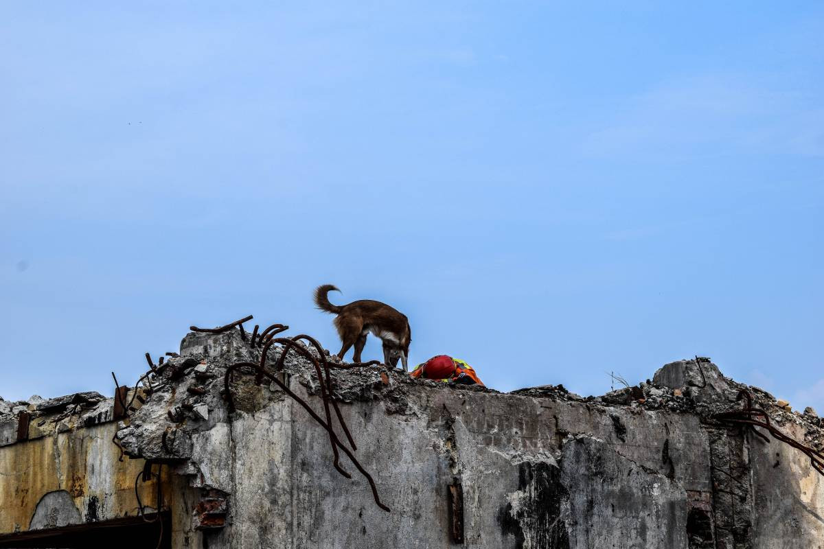 Zbierają na kombinezony