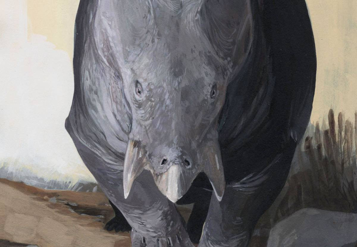 Smok z Lisowic polował na słonie