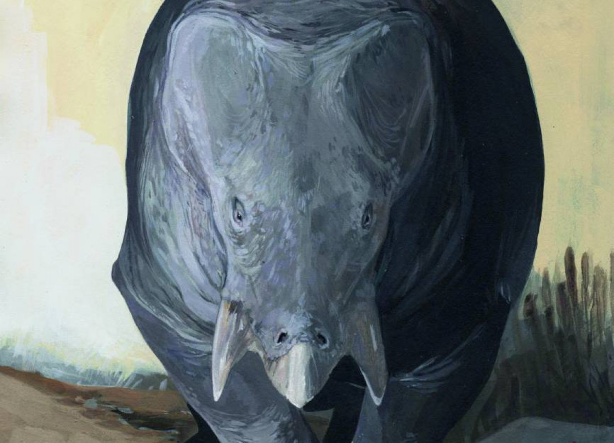 Smok z Lisowic polował na słonie