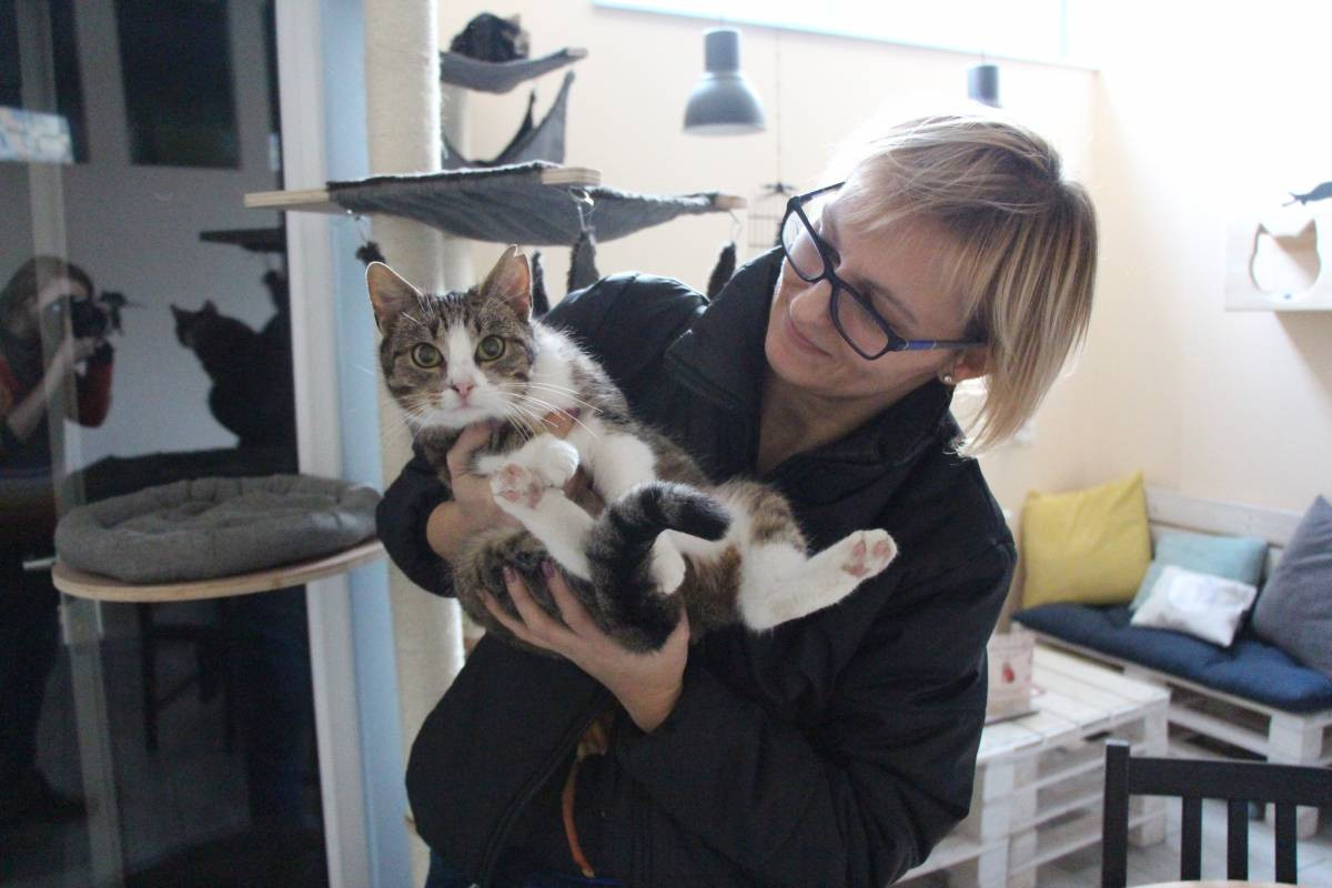 Kawiarnia pod znakiem kota