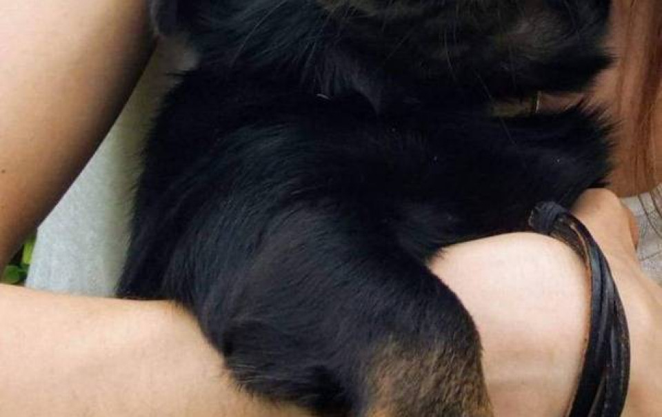 Superzwierzaki w obiektywie. Dziękujemy