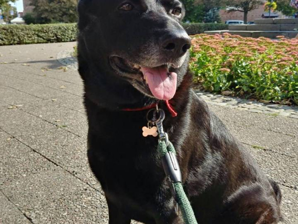 Superzwierzaki w obiektywie. Dziękujemy