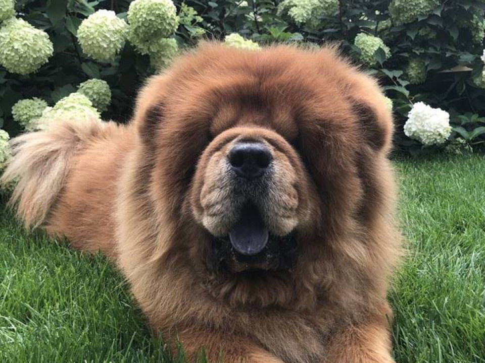 Superzwierzaki w obiektywie. Dziękujemy