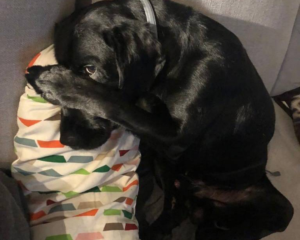 Superzwierzaki w obiektywie. Dziękujemy