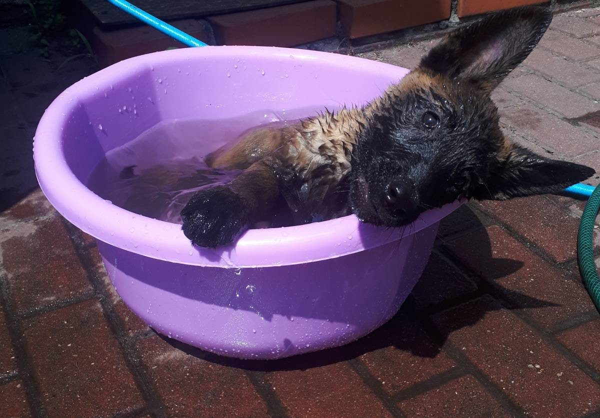 Superzwierzaki w obiektywie. Dziękujemy