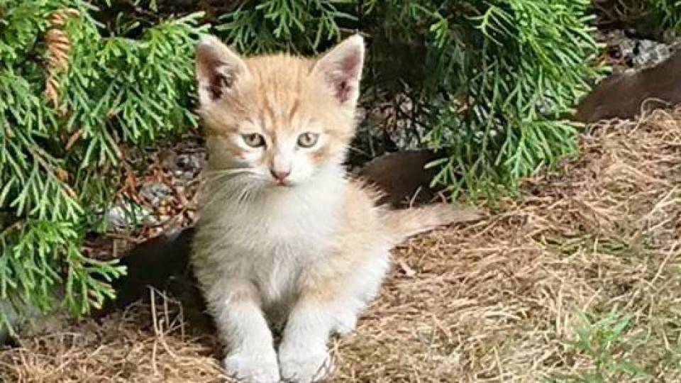 Superzwierzaki w obiektywie. Dziękujemy