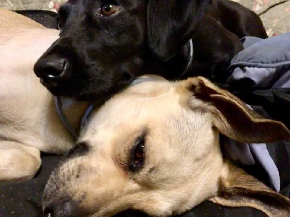 Superzwierzaki w obiektywie. Dziękujemy