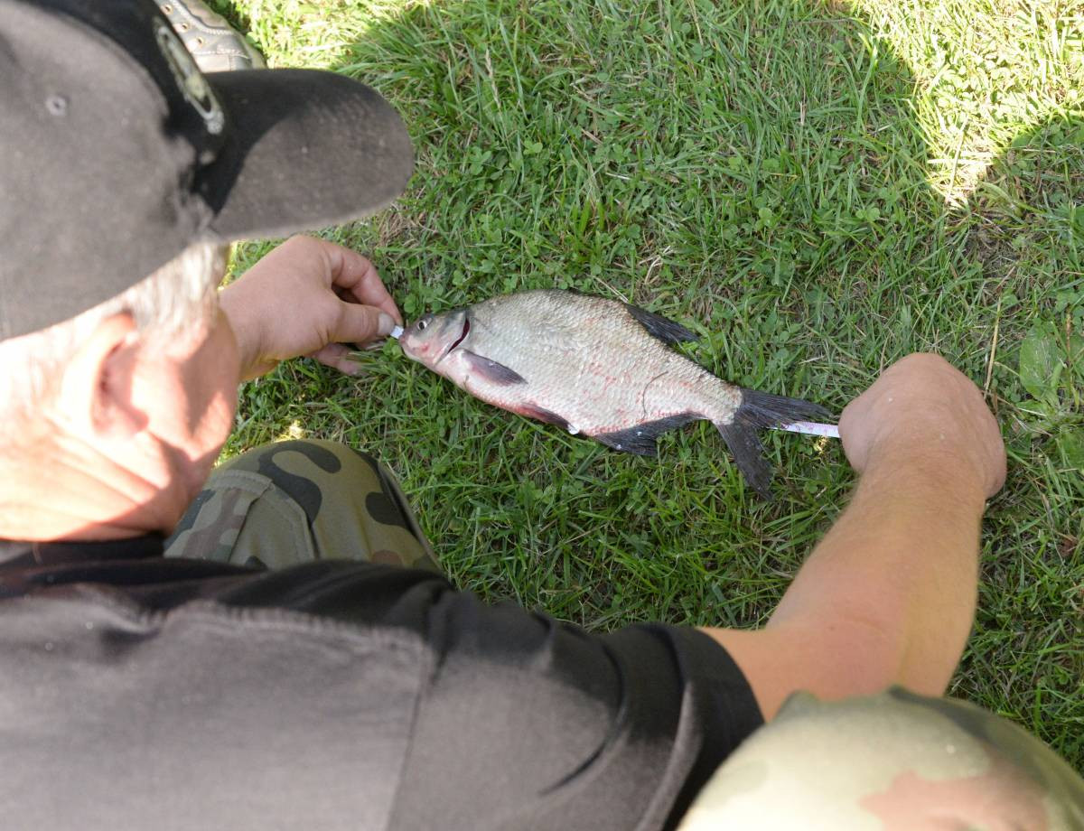 Kalety gościnne dla wędkarzy