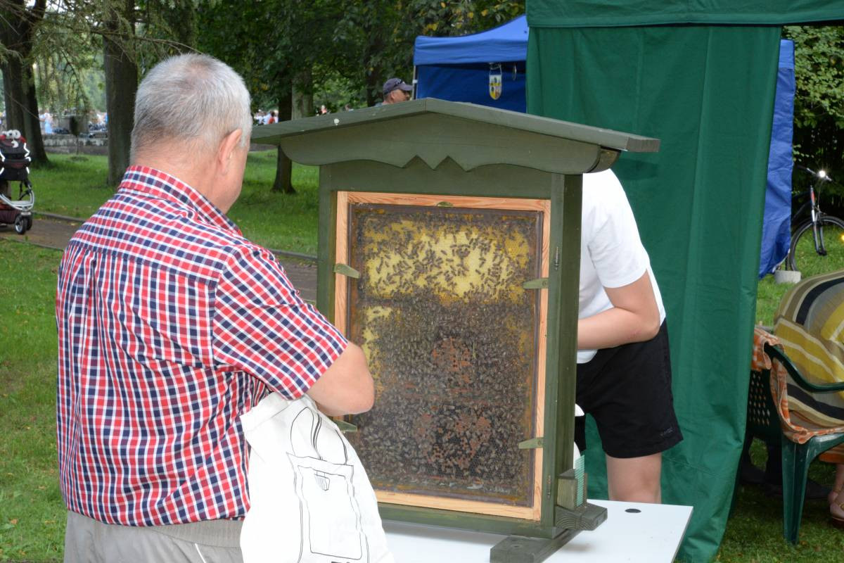 Nie marnotrawcie żywności