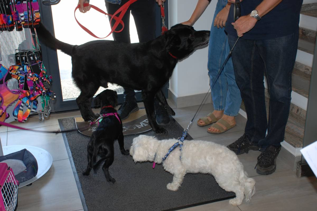 Superzwierzaki w obiektywie - laureaci nagrodzeni