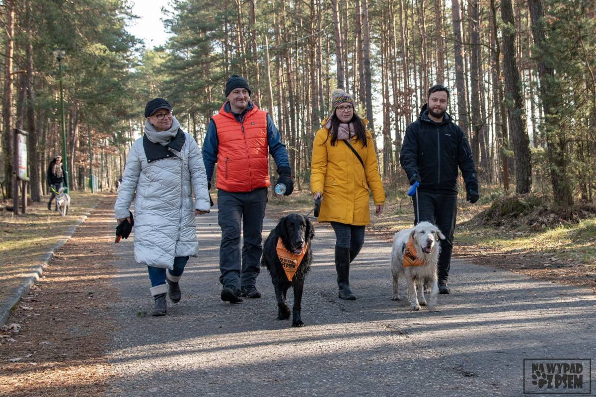 Po Zielonej z psami