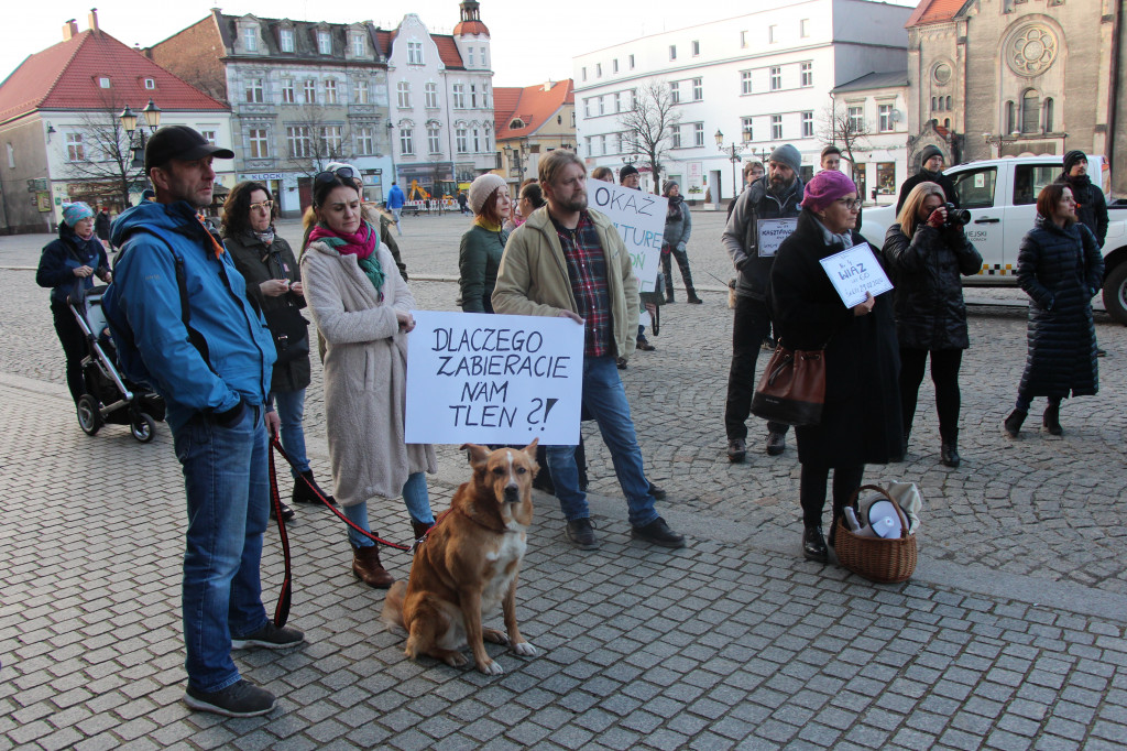 Protest przeciwko wycinkom drzew