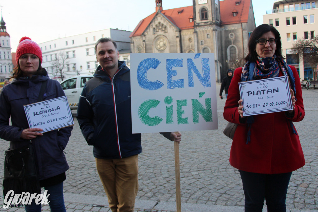 Protest przeciwko wycinkom drzew