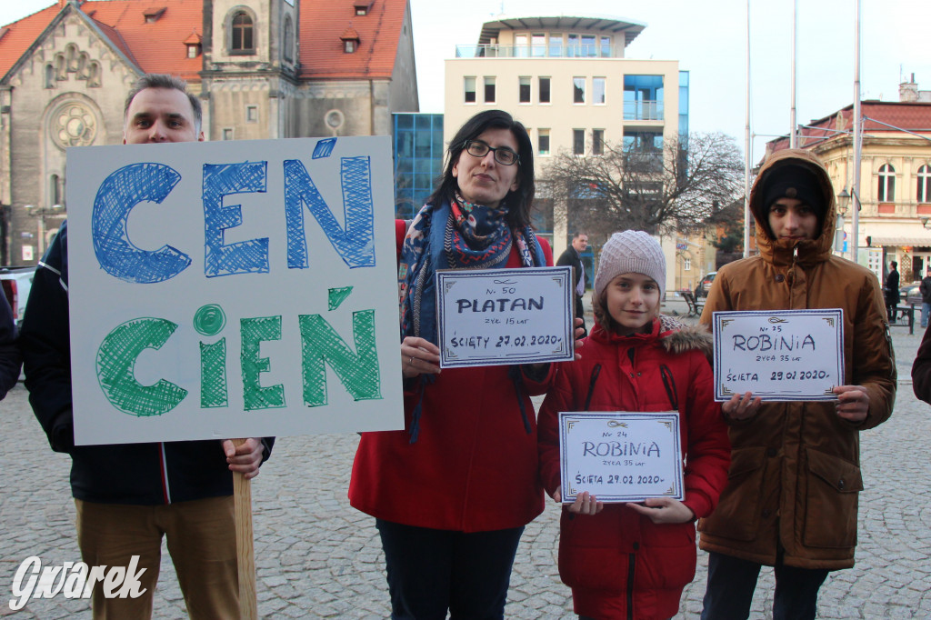 Protest przeciwko wycinkom drzew