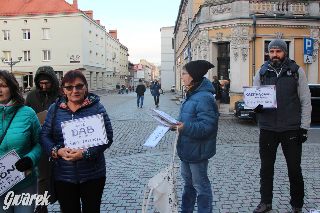 Protest przeciwko wycinkom drzew