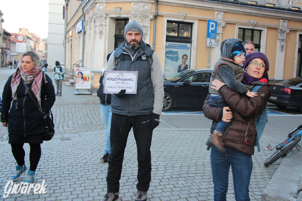 Protest przeciwko wycinkom drzew
