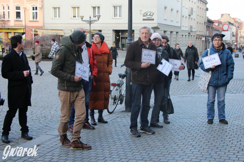 Protest przeciwko wycinkom drzew