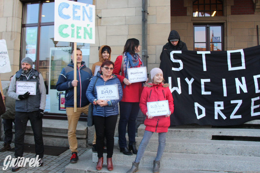 Protest przeciwko wycinkom drzew