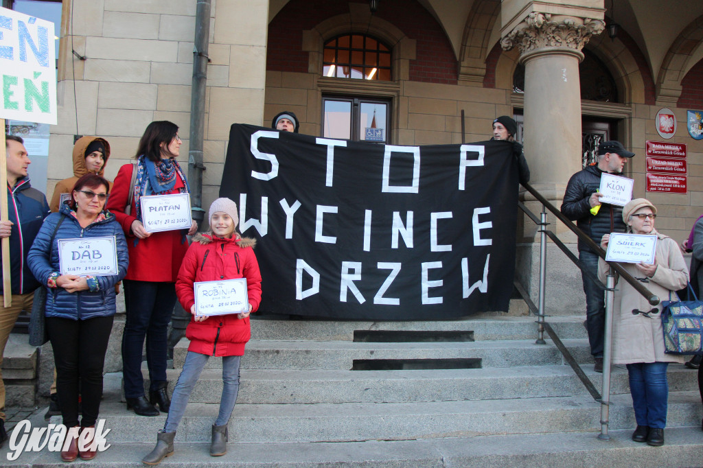 Protest przeciwko wycinkom drzew