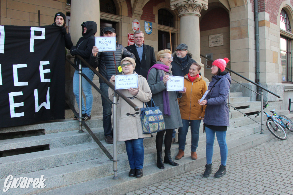 Protest przeciwko wycinkom drzew