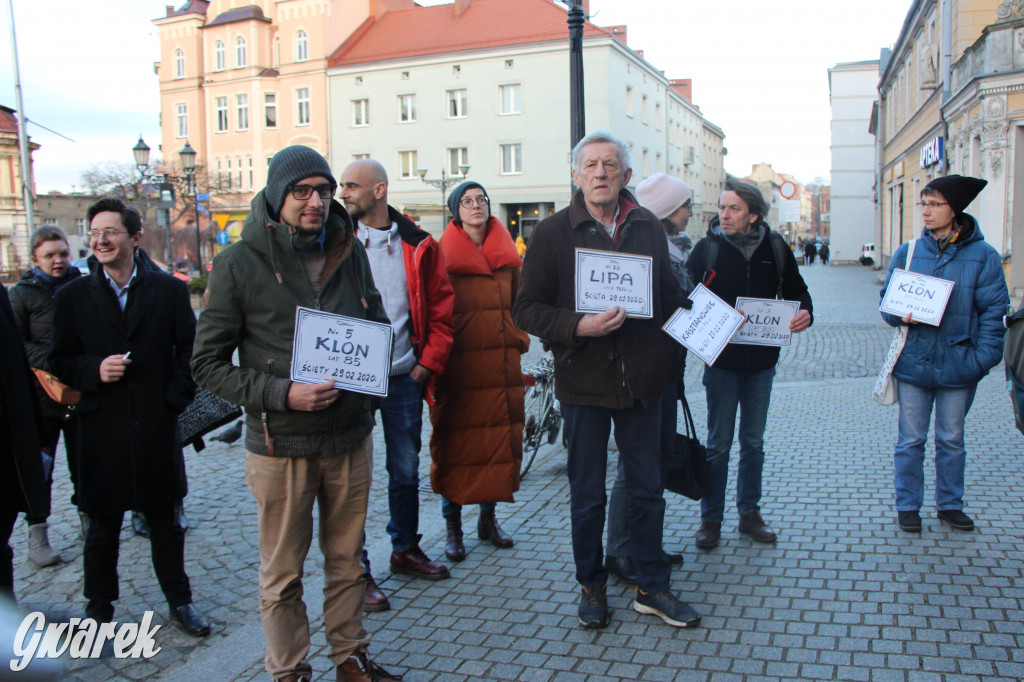 Protest przeciwko wycinkom drzew