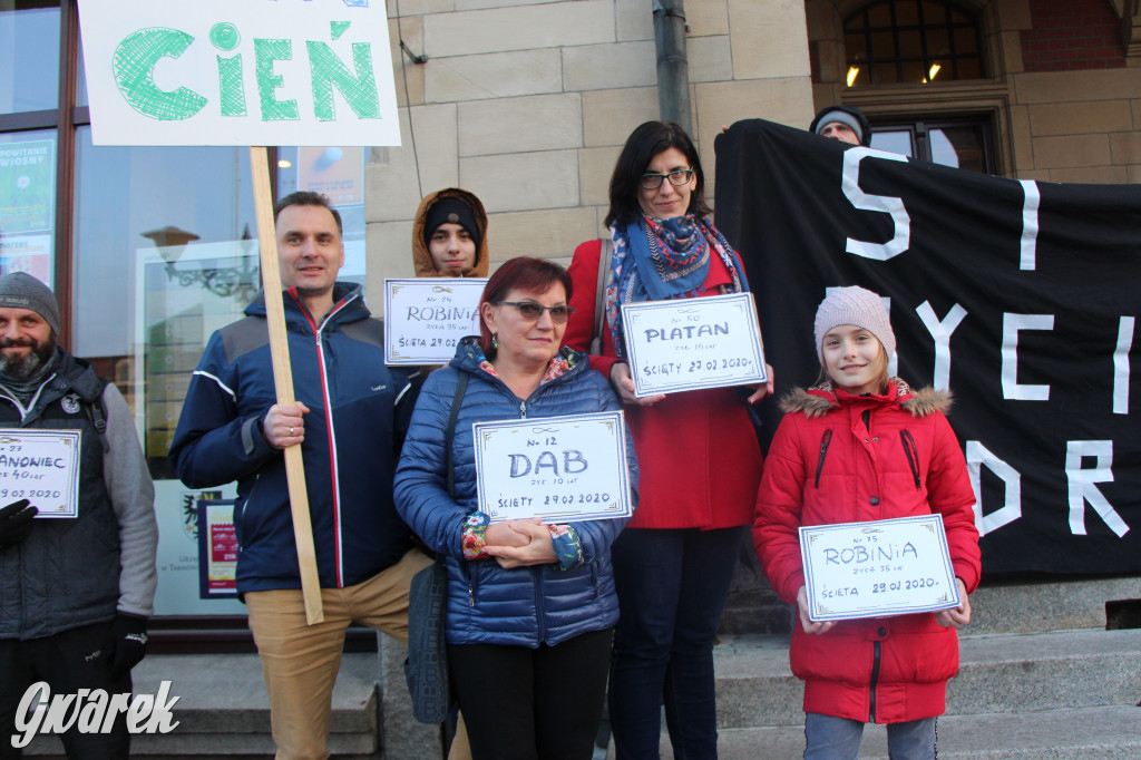 Protest przeciwko wycinkom drzew