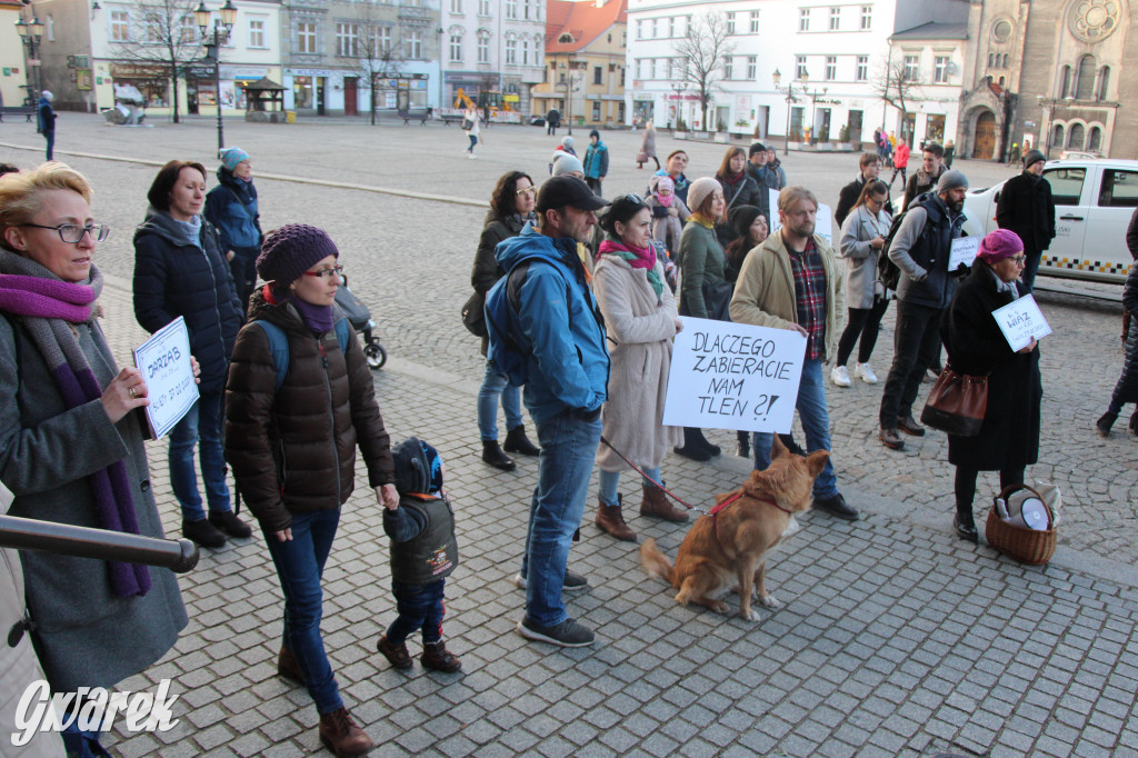 Protest przeciwko wycinkom drzew