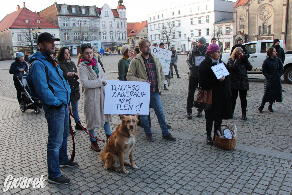 Protest przeciwko wycinkom drzew