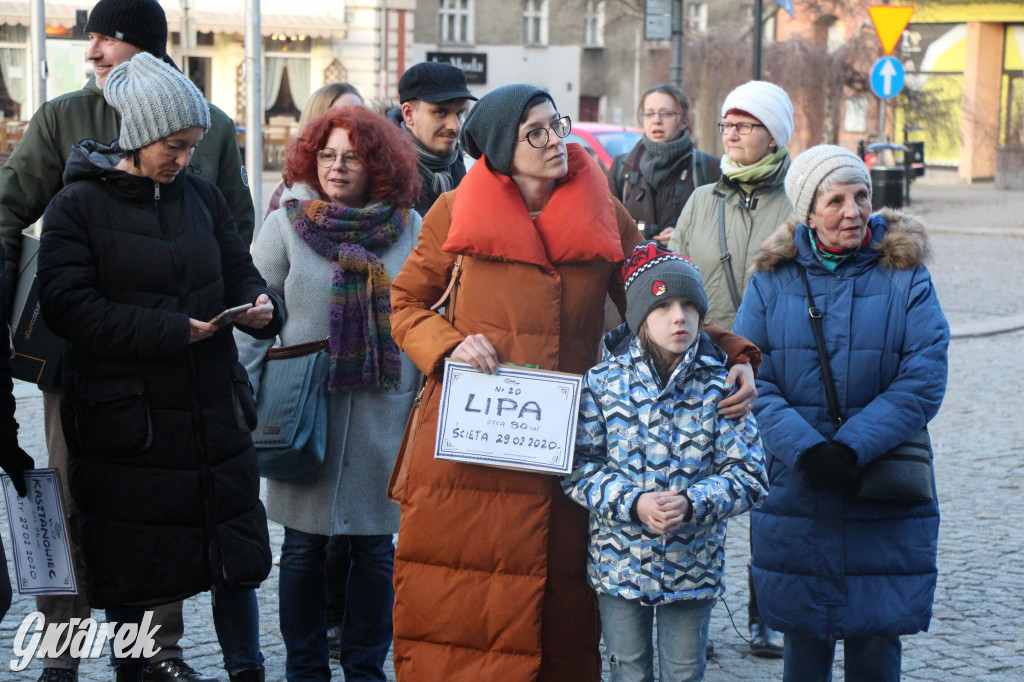 Protest przeciwko wycinkom drzew