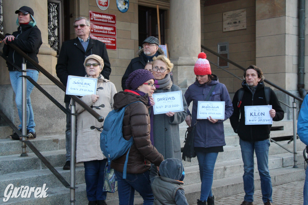 Protest przeciwko wycinkom drzew