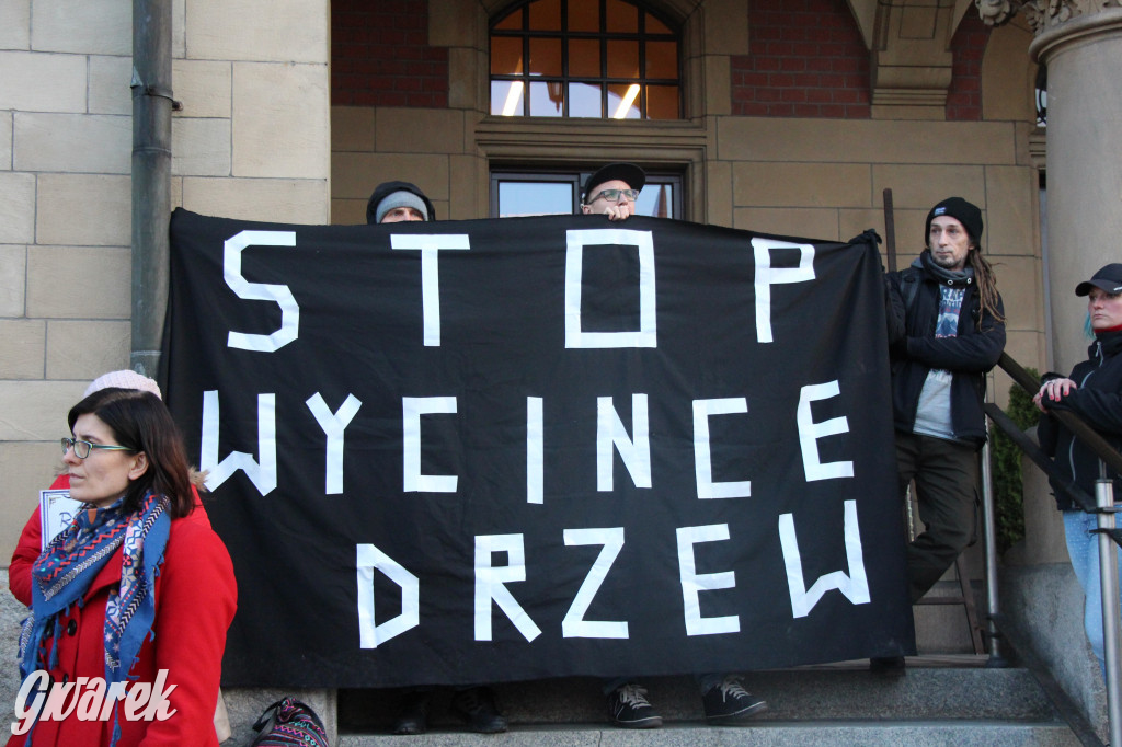 Protest przeciwko wycinkom drzew